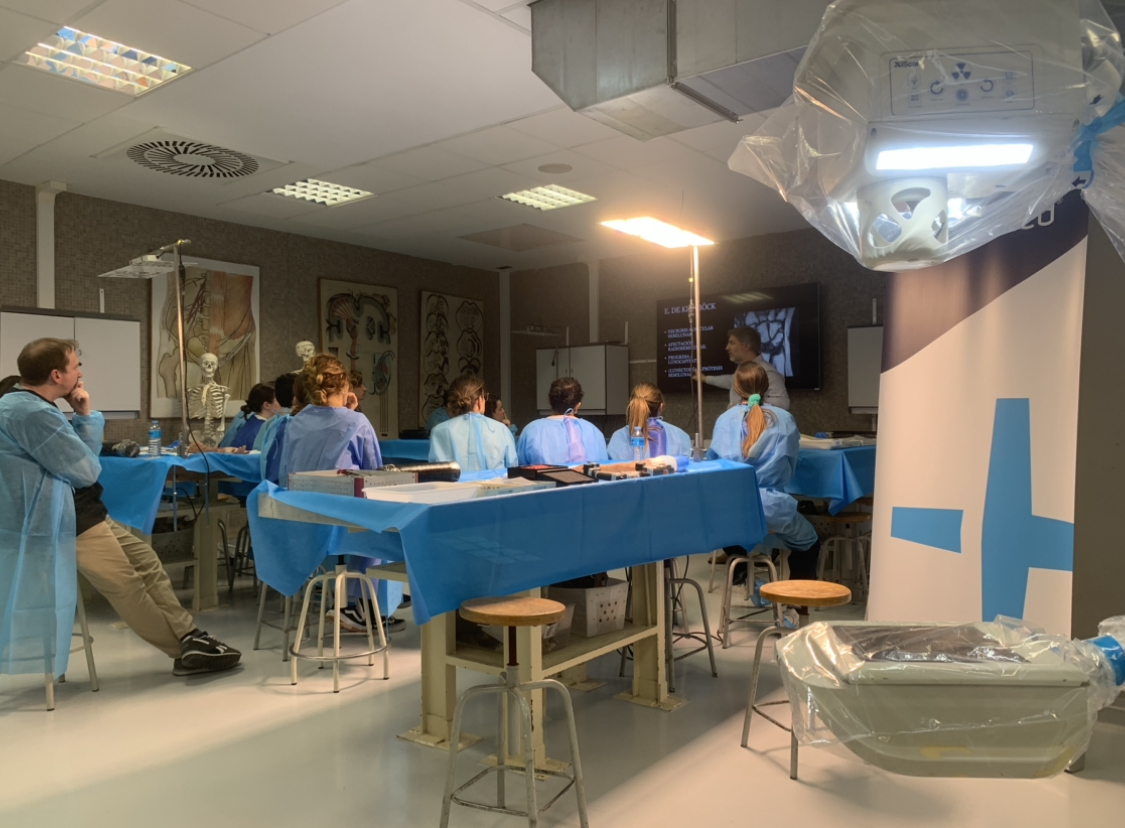 CURSO DE MUÑECA Y MANO EN OVIEDO